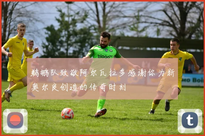 鹈鹕队致敬阿尔瓦拉多感谢你为新奥尔良创造的传奇时刻