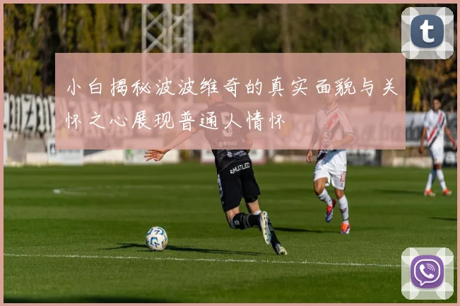 小白揭秘波波维奇的真实面貌与关怀之心展现普通人情怀