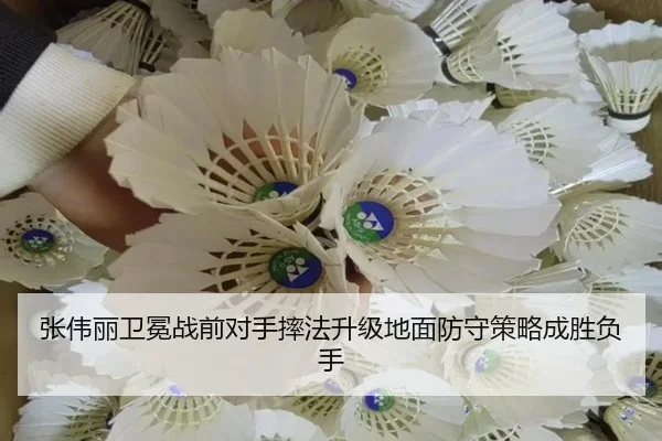 张伟丽卫冕战前对手摔法升级地面防守策略成胜负手 - beplay